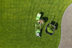 Lawn Mowing Greenville SC