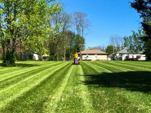 Lawn Mowing Services Greenville SC